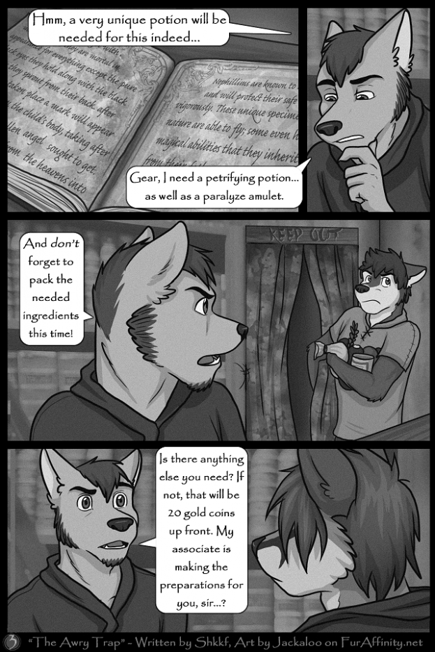 Page 3